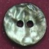 Silver-Fish Shell Buttons