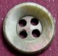 Blacklip MOP Shell Button