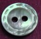 Blacklip MOP Shell Button