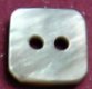 Blacklip MOP Shell Button