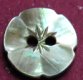 Blacklip MOP Shell Button