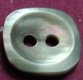 Blacklip MOP Shell Button