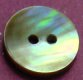 Brownlip MOP Shell Button