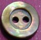 Brownlip MOP Shell Button
