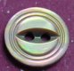 Brownlip MOP Shell Button