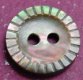 Brownlip MOP Shell Button