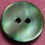 River Shell (Freshwater Shell) Buttons