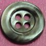 River shell(Our Freshwater shell) Buttons