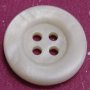 River shell(Our Freshwater shell) Buttons
