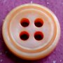 River shell(Our Freshwater shell) Buttons