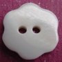 River shell(Our Freshwater shell) Buttons