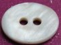 River shell(Our Freshwater shell) Buttons