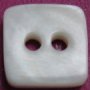 River shell(Our Freshwater shell) Buttons