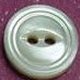 TROCHUS Shell Buttons