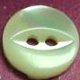 TROCHUS Shell Buttons