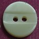 TROCHUS Shell Buttons