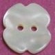 TROCHUS Shell Buttons