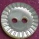 TROCHUS Shell Buttons