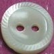 TROCHUS Shell Buttons