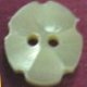 TROCHUS Shell Buttons