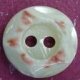 TROCHUS Shell Buttons