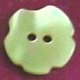 TROCHUS Shell Buttons