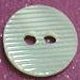 TROCHUS Shell Buttons