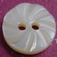 TROCHUS Shell Buttons