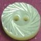 TROCHUS Shell Buttons