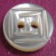 TROCHUS Shell Buttons