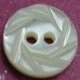 TROCHUS Shell Buttons