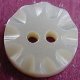 TROCHUS Shell Buttons