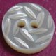 TROCHUS Shell Buttons