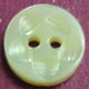 TROCHUS Shell Buttons