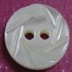 TROCHUS Shell Buttons