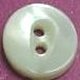 TROCHUS Shell Buttons