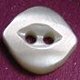 TROCHUS Shell Buttons