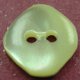 TROCHUS Shell Buttons
