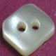 TROCHUS Shell Buttons