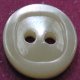 TROCHUS Shell Buttons