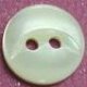 TROCHUS Shell Buttons