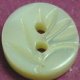 TROCHUS Shell Buttons