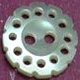 TROCHUS Shell Buttons