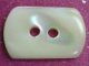 TROCHUS Shell Buttons