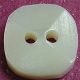 TROCHUS Shell Buttons