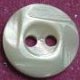 TROCHUS Shell Buttons