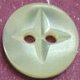 TROCHUS Shell Buttons