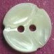TROCHUS Shell Buttons