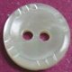 TROCHUS Shell Buttons