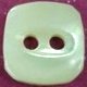 TROCHUS Shell Buttons